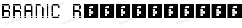 BRANIC Regular字体转换
